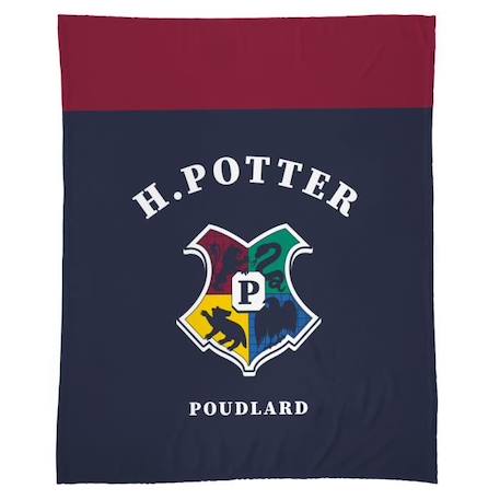 Plaid polaire imprimé, HARRY POTTER STRIPE 125x150cm BLEU 1 - vertbaudet enfant 