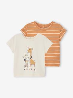 -Lot de 2 T-shirts basics bébé manches courtes