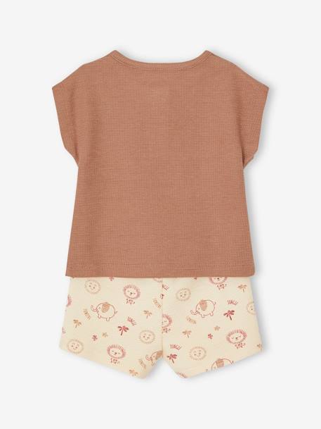 Ensemble naissance : T-shirt tunisien + short bébé moka 4 - vertbaudet enfant 