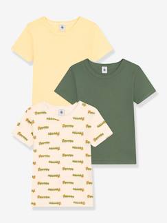 -Lot 3 t-shirts manches courtes PETIT BATEAU