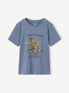 -Tee-shirt motif dinosaure garçon