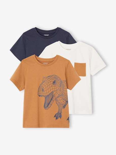 Lot de 3 T-shirts Basics garçon manches courtes  - vertbaudet enfant