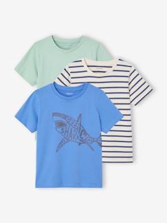 Garçon-T-shirt, polo, sous-pull-Lot de 3 T-shirts Basics garçon manches courtes