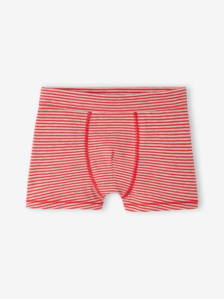 Lot de 7 boxers stretch ours garçon en coton bio bleu roi 6 - vertbaudet enfant 