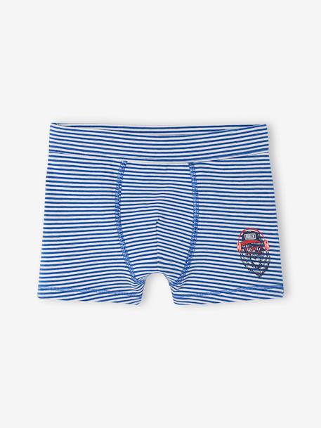 Lot de 7 boxers stretch ours garçon en coton bio bleu roi 2 - vertbaudet enfant 