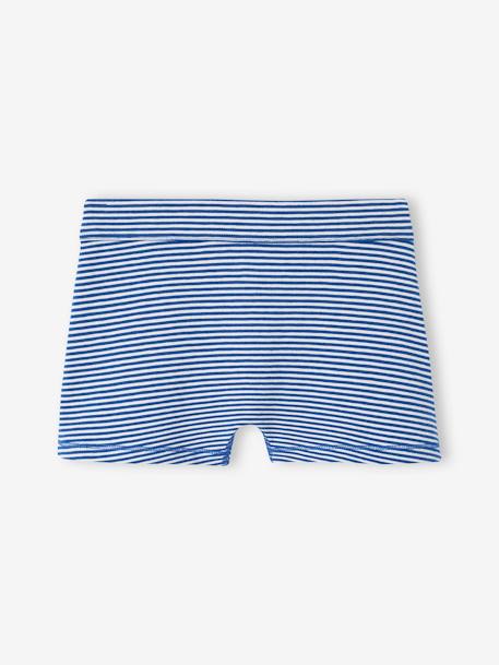 Lot de 7 boxers stretch ours garçon en coton bio bleu roi 9 - vertbaudet enfant 