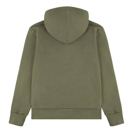 Sweat à Capuche Enfant Levi's Batwing Sreenprint VERT 2 - vertbaudet enfant 