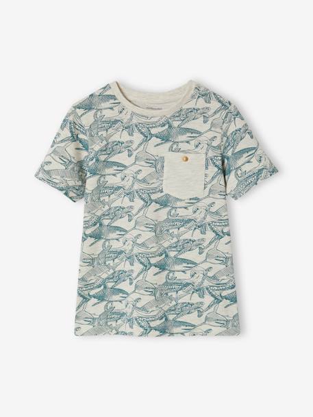 T-shirt motifs graphiques garçon manches courtes anthracite+blanc chiné+cannelle+lichen+noix de pécan+terracotta 4 - vertbaudet enfant 