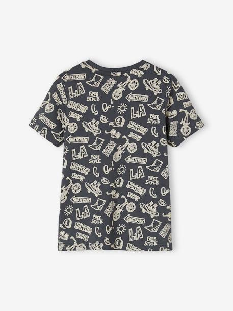 T-shirt motifs graphiques garçon manches courtes anthracite+blanc chiné+cannelle+lichen+noix de pécan+terracotta 2 - vertbaudet enfant 