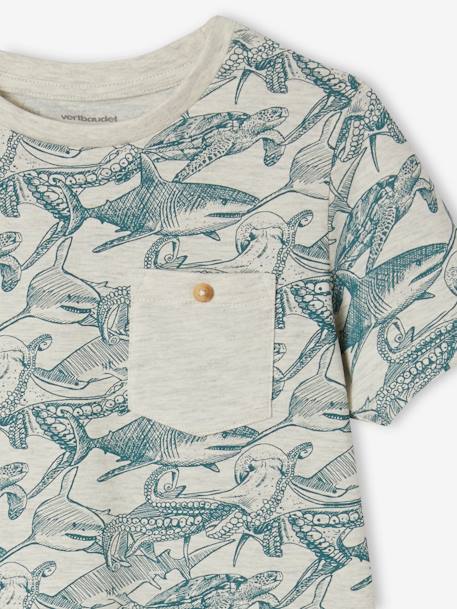 T-shirt motifs graphiques garçon manches courtes anthracite+blanc chiné+cannelle+lichen+noix de pécan+terracotta 6 - vertbaudet enfant 
