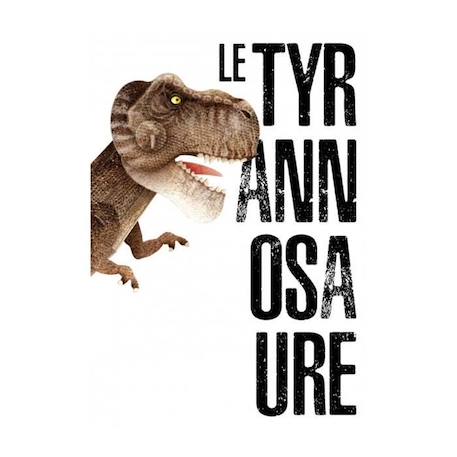 Modèle 3D & livre, Le tyrannosaure VERT 3 - vertbaudet enfant 