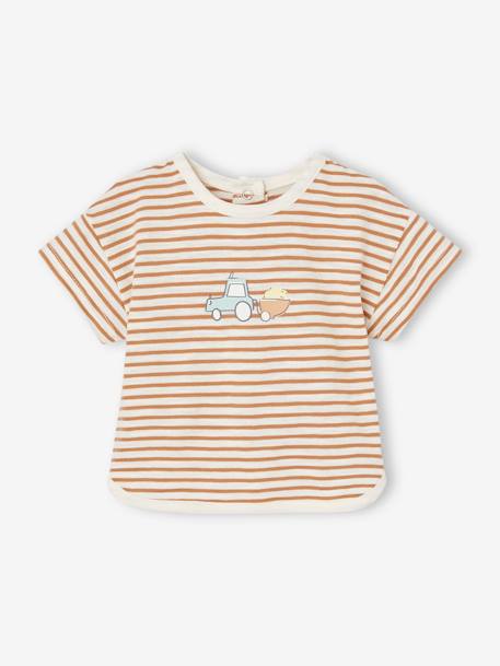 Ensemble 3 pièces naissance : tee-shirt, short et chapeau assorti cappuccino 2 - vertbaudet enfant 