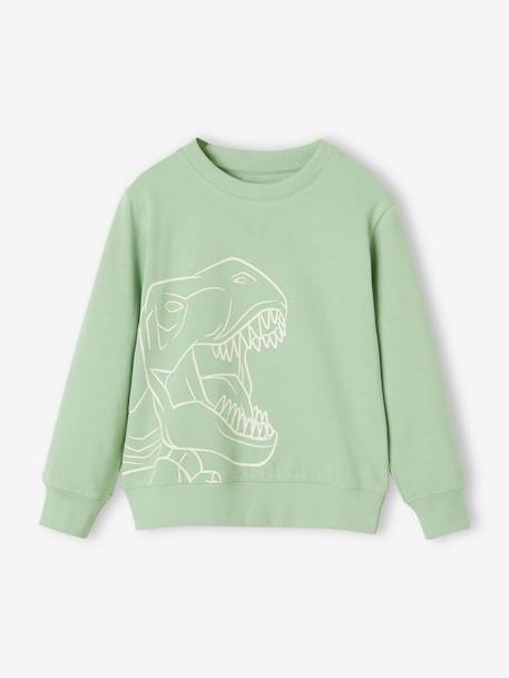 Sweat Basics motif graphique garçon  - vertbaudet enfant