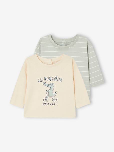 Bébé-T-shirt, sous-pull-T-shirt-Lot de 2 T-shirts basics bébé