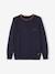 Pull couleur Basics personnalisable garçon ECRU CHINE+encre 7 - vertbaudet enfant 