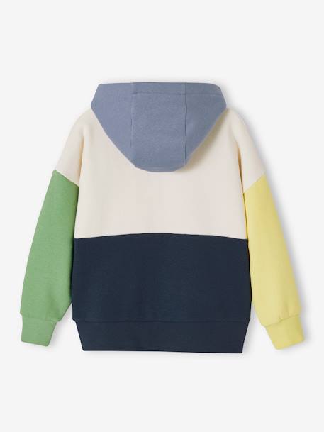 Sweat à capuche colorblock garçon multicolore 3 - vertbaudet enfant 