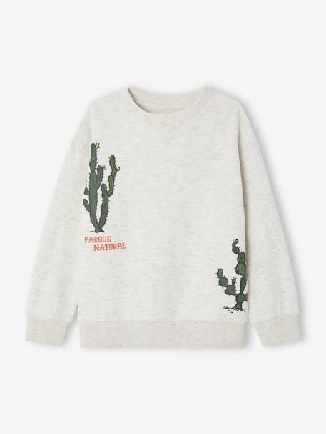 Sweat motifs cactus garçon beige chiné 1 - vertbaudet enfant 