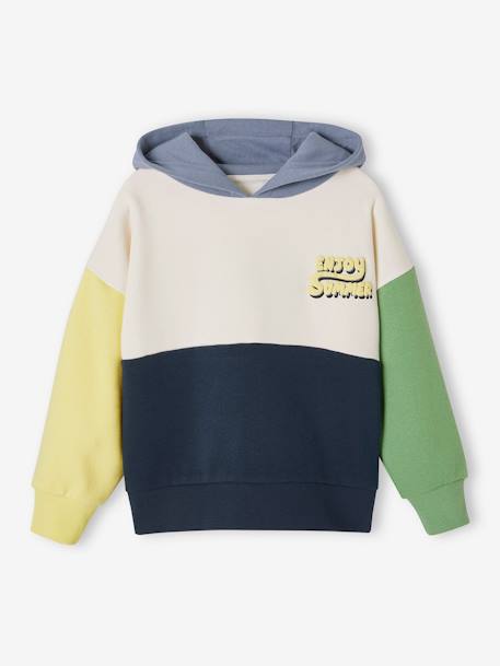 Sweat à capuche colorblock garçon multicolore 2 - vertbaudet enfant 