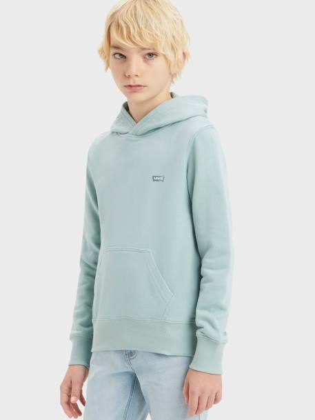 Sweat à capuche bébé LVB Mini Batwing Levi's® moutarde+vert amande 6 - vertbaudet enfant 