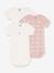 Lot de 3 bodies manches courtes baleines en coton PETIT BATEAU rose pâle 1 - vertbaudet enfant 