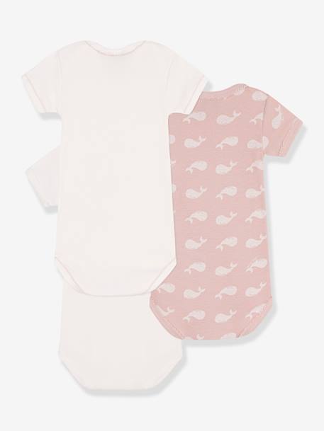 Lot de 3 bodies manches courtes baleines en coton PETIT BATEAU rose pâle 2 - vertbaudet enfant 