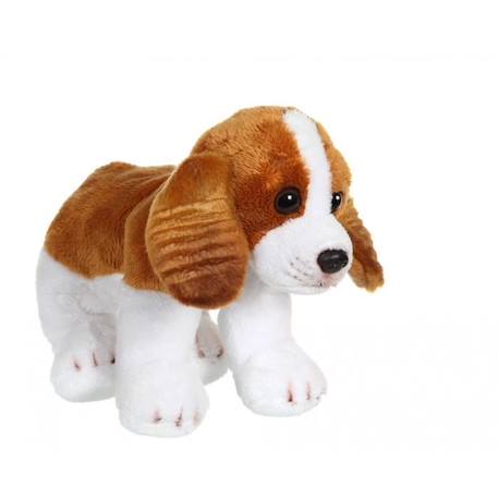 Gipsy Toys - Chien Cavalier King Charles Floppipup -  - 22 cm - Roux et Blanc BLANC 3 - vertbaudet enfant 