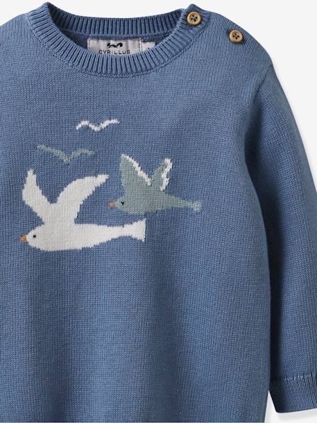 Pull bébé coton bio et laine CYRILLUS bleu grisé 3 - vertbaudet enfant 