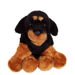 Jouet-Premier âge-Peluches-AUC1684759143994