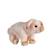 Gipsy Toys - Cochon - 25 Cm - Rose ROSE 1 - vertbaudet enfant 