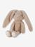 Peluche Lapin - Baby Bunny - LITTLE DUTCH écru 3 - vertbaudet enfant 