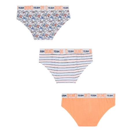 Lot de 3 slips garçon Cool Dino ORANGE 1 - vertbaudet enfant 