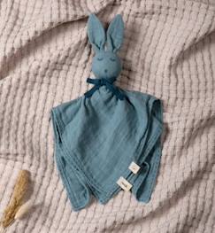 -Doudou lapin (Bleu)