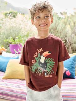 Garçon-T-shirt, polo, sous-pull-T-shirt-Tee-shirt motif toucan garçon