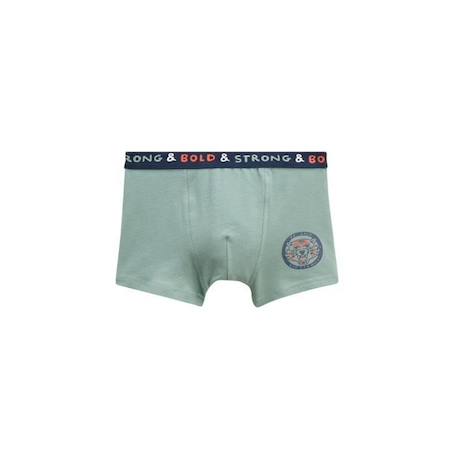 Lot de 2 boxers garçon Touram VERT 3 - vertbaudet enfant 