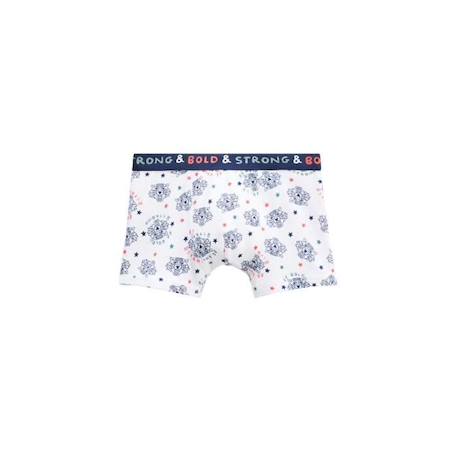 Lot de 2 boxers garçon Touram VERT 2 - vertbaudet enfant 