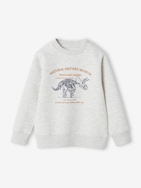 Sweat Basics motif graphique garçon blanc chiné+bleu moyen+vert sauge 1 - vertbaudet enfant 