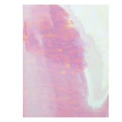 Jouet-Matériel scolaire-Bullet journal couverture souple Acid Leo - 16 x 21 cm
