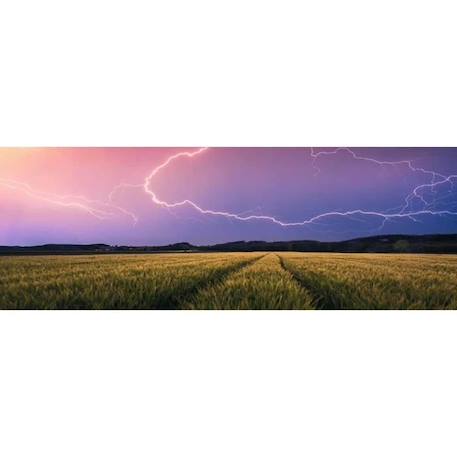 Puzzle 500 pièces panoramique :  Orage d'été (Nature edition) Coloris Unique BLANC 1 - vertbaudet enfant 