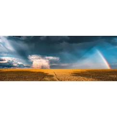 Jouet-Puzzle panoramique - Ravensburger - Arc-en-ciel mystique - Paysage et nature - 1000 pièces