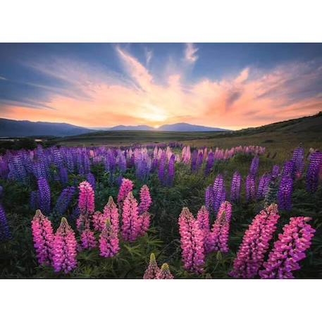 Puzzle 500 pièces Les lupins (Nature edition) - Ravensburger - Paysage et nature - Adultes et enfants dès 12 ans BLANC 1 - vertbaudet enfant 