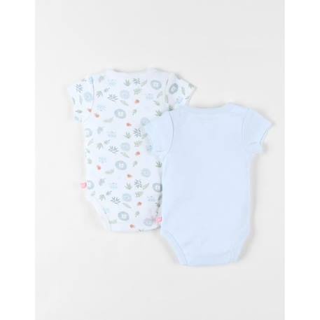 Ensemble de 2 bodies lion en coton écru/bleu ciel BLANC 2 - vertbaudet enfant 