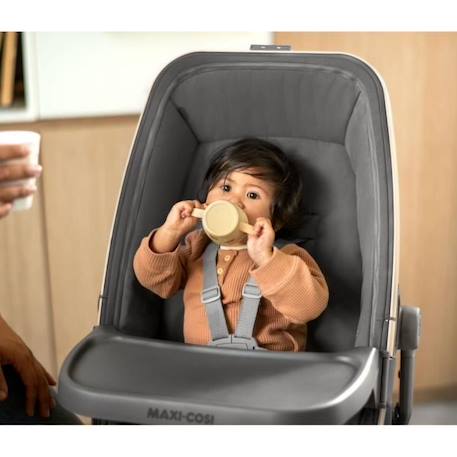 MAXI COSI Kit repas pour transat Alba, chaise haute bébé avec tablette + housse de protection Beyond Graphite, de 6 mois à 3 ans GRIS 4 - vertbaudet enfant 