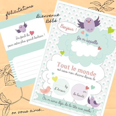 Pack cadeau naissance avec moufles anti-griffures BLANC 2 - vertbaudet enfant 