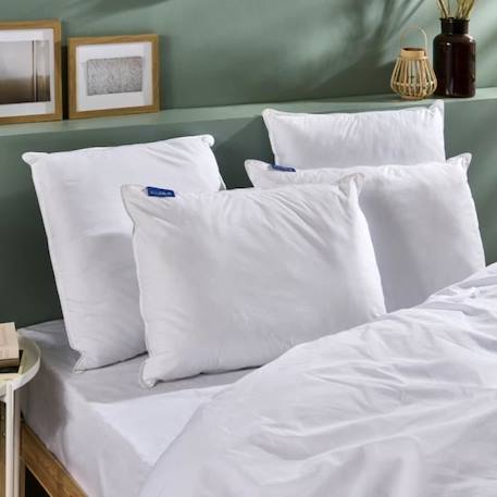 BLEU CALIN Lot de 2 Oreillers 50x70cm Ferme - Doux et gonflants - Enveloppe 100% percale de coton BLANC 2 - vertbaudet enfant 