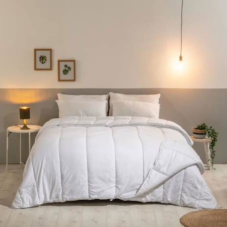 BLEU CALIN Lot de 2 Oreillers 50x70cm Ferme - Doux et gonflants - Enveloppe 100% percale de coton BLANC 3 - vertbaudet enfant 