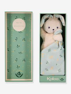 Jouet-Premier âge-Doudous et jouets en tissu-Doudou lapin - KALOO