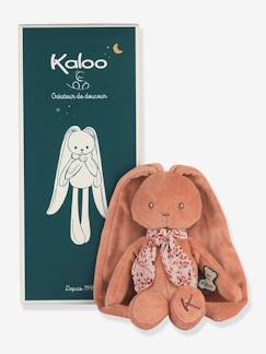 Jouet-Pantin lapin Lapinoo - KALOO