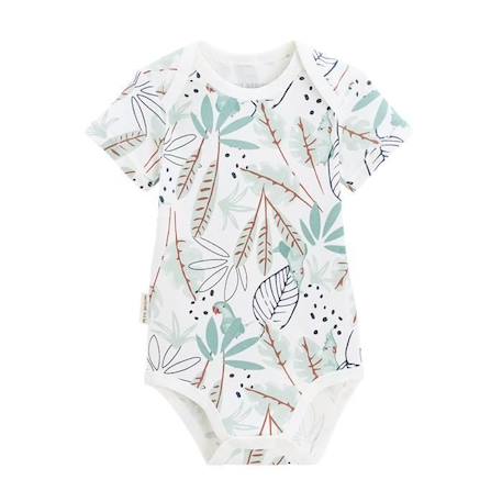 Lot de 2 bodies bébé manches courtes Belem BLEU 3 - vertbaudet enfant 