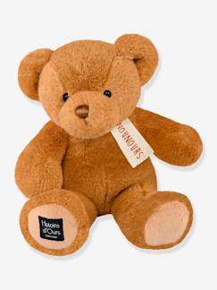 -Peluche le nounours - HISTOIRE D'OURS