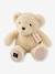 Peluche le nounours - HISTOIRE D'OURS noisette+vanille 2 - vertbaudet enfant 